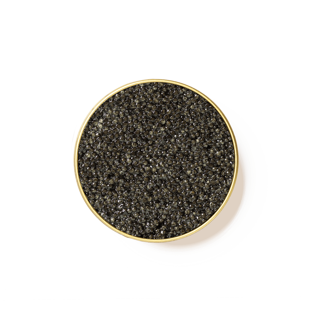 Caviar. Français
