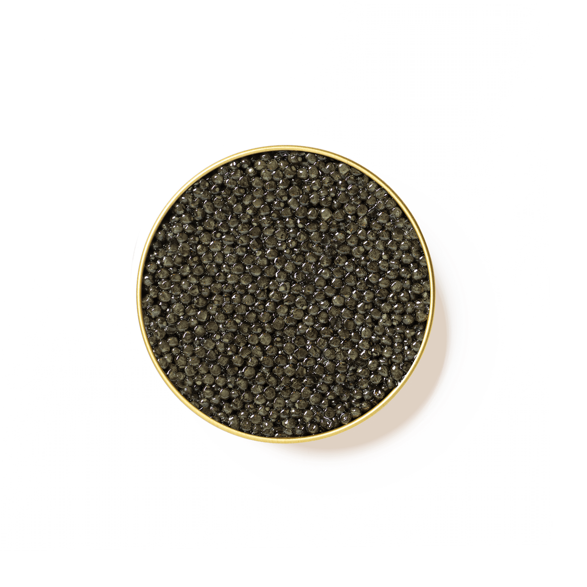 Caviar Beluga Bulgare, Achat en ligne