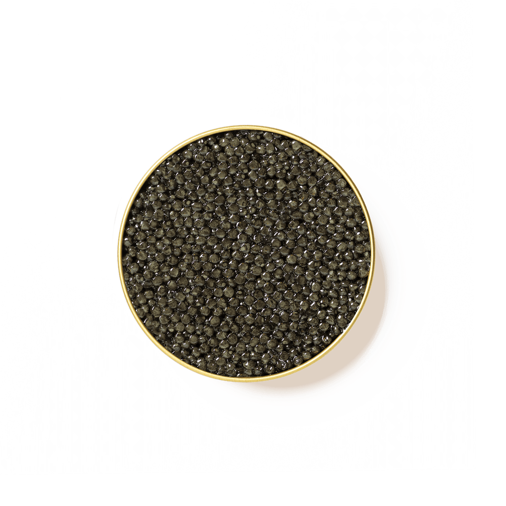 Caviar Beluga Bulgare - Caviar - MAISON DU CAVIAR