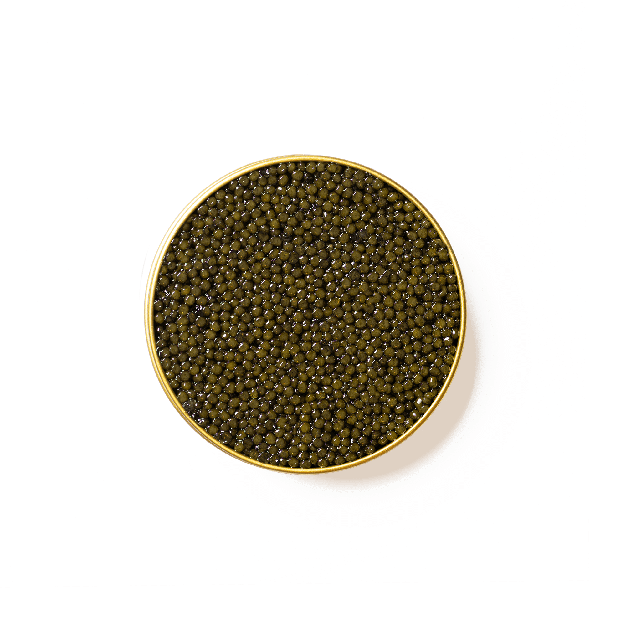 Caviar Osciètre Impérial - Caviar - MAISON DU CAVIAR
