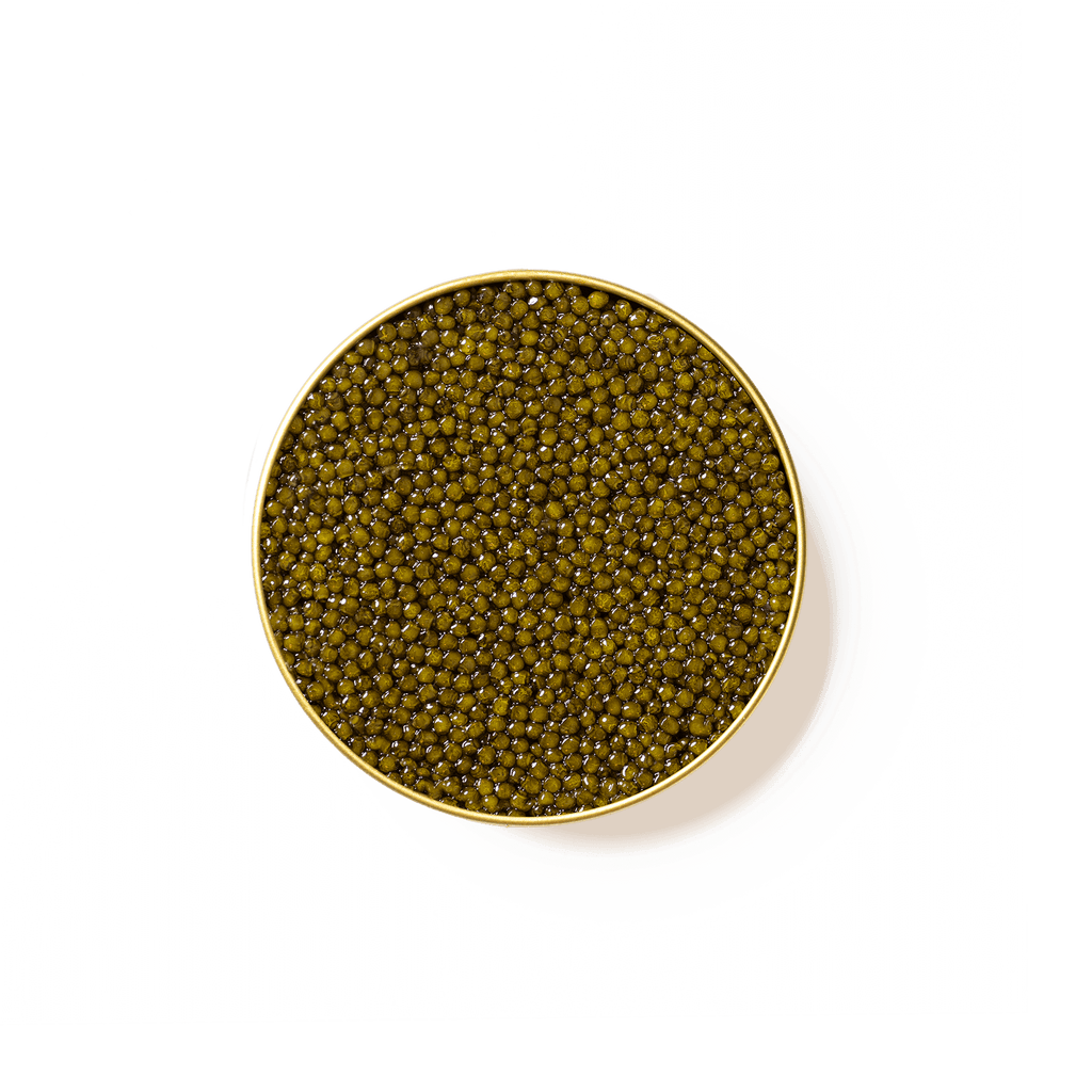 Caviar Osciètre Royal - Caviar - MAISON DU CAVIAR